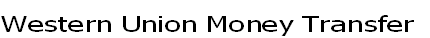 Western Union Money Transfer