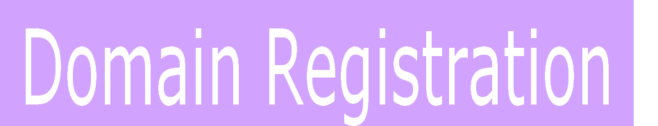 Domain Registration 